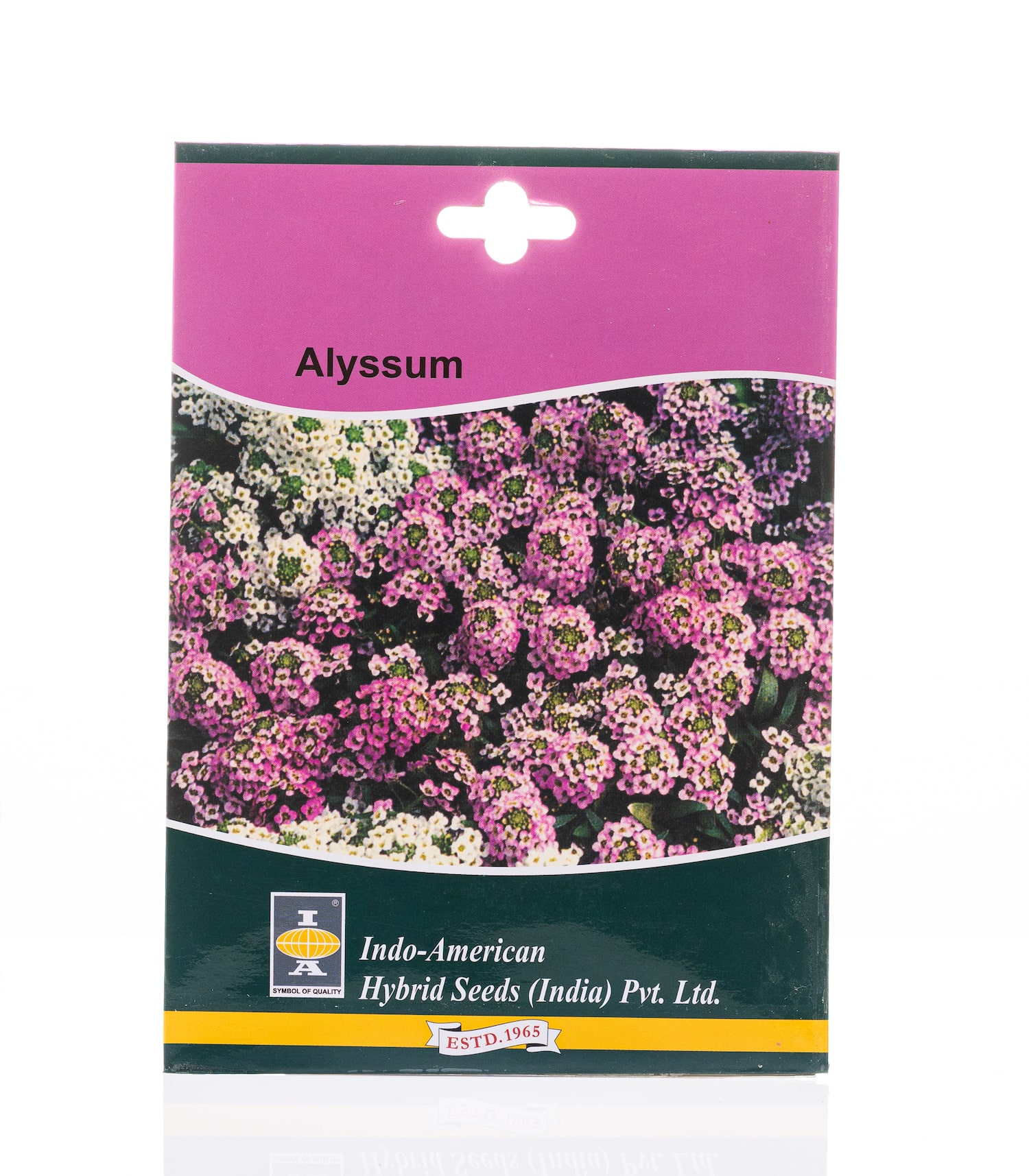 Alyssum indo american hybrid seeds planters pots buy seeds online horticult