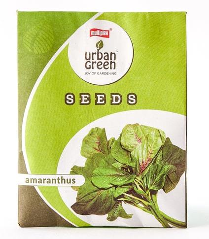 Amaranthus buy seeds online buy flower seeds online horticult