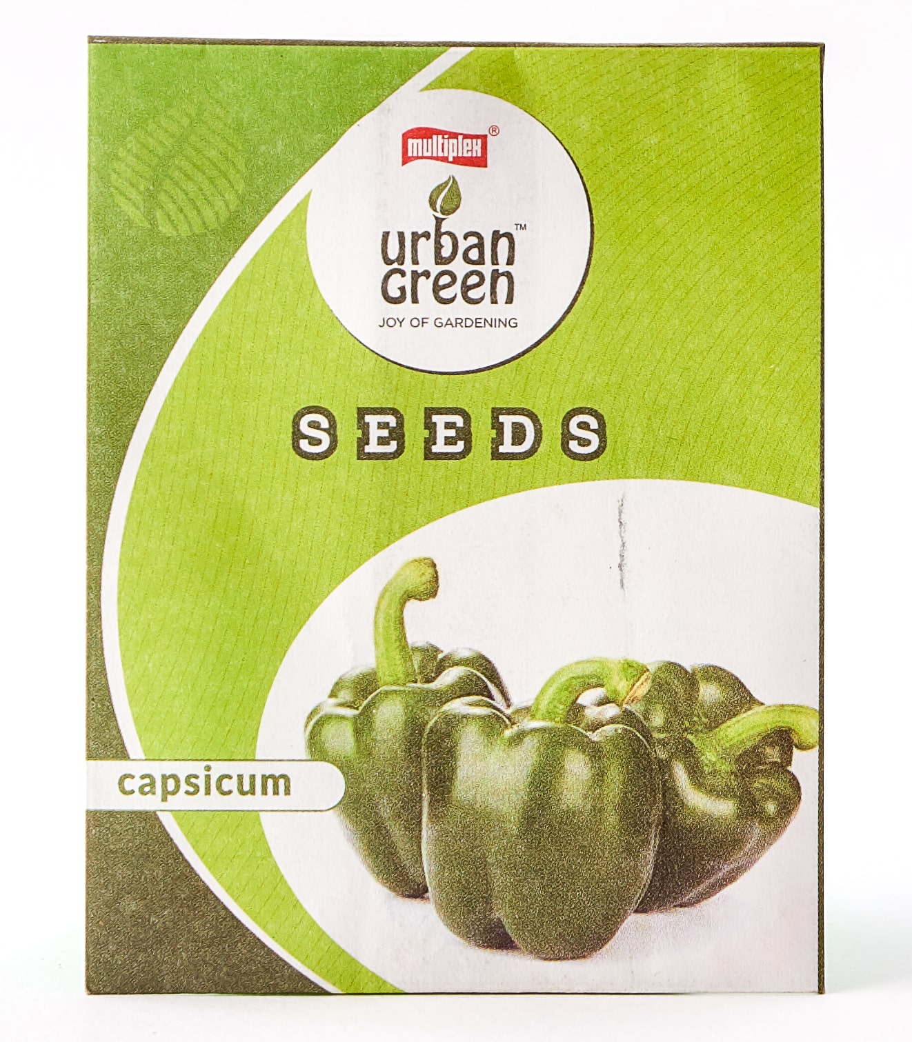 Capsicum urban green vegetable seeds buy flower seeds online horticult 00001
