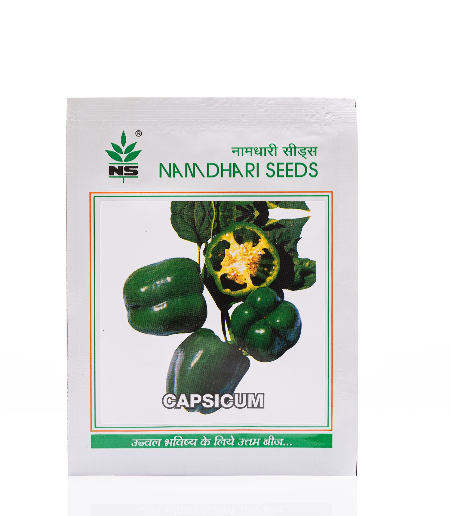 Capsicum urban green vegetable seeds buy flower seeds online horticult 00006