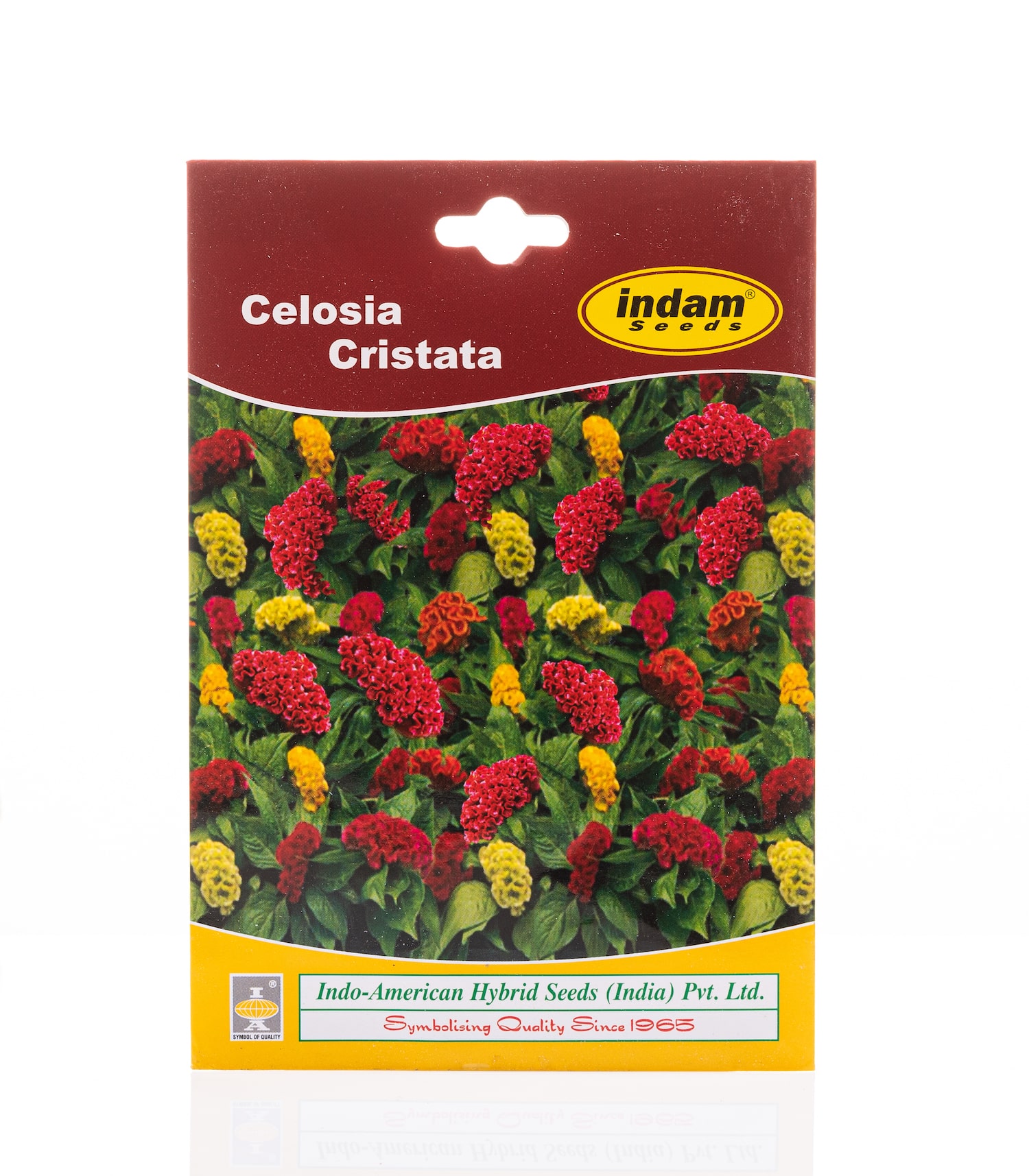 Celosia buy online plant vegetable flowers seeds horticult