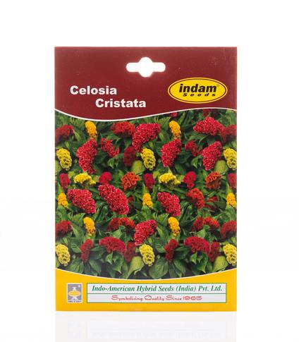 Celosia Seeds