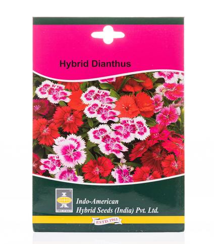 Dianthus buy hybrid seeds online flower vegetable seeds horticult