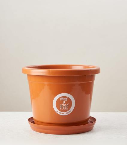Round Pot Medium Planter with Tray 12”