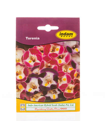 Torenia indo american hybrid seeds buy seeds online horticult