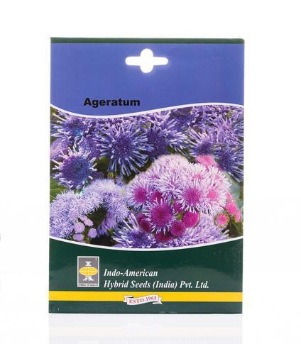 Buy ageratum indo american hybrid seeds online  horticult