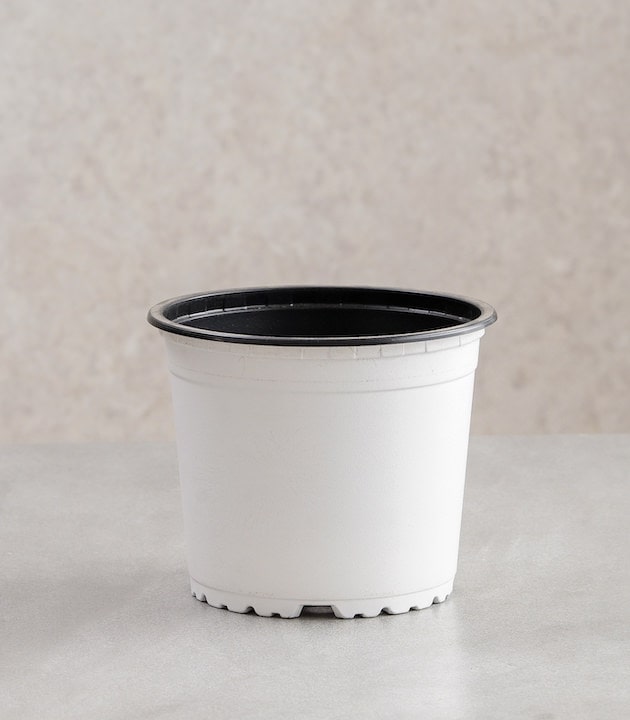 Vcg round recyclable plastic pots multiple colours sizes buy round premium pots online best pots planters white horticult
