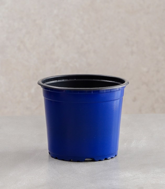Vcg round recyclable plastic pots multiple colours sizes buy round premium pots online best pots planters ultramarine blue horticult