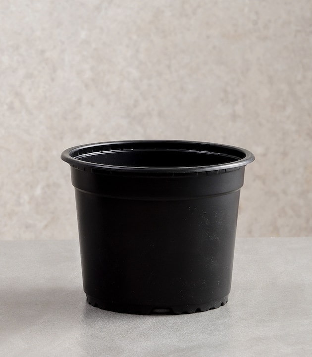 Vcg round recyclable plastic pots multiple colours sizes buy round premium pots online best pots planters black horticult