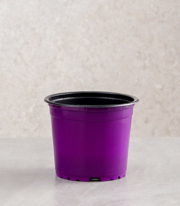 Vcg round recyclable plastic pots multiple colours sizes buy round premium pots online best pots planters blackberry horticult