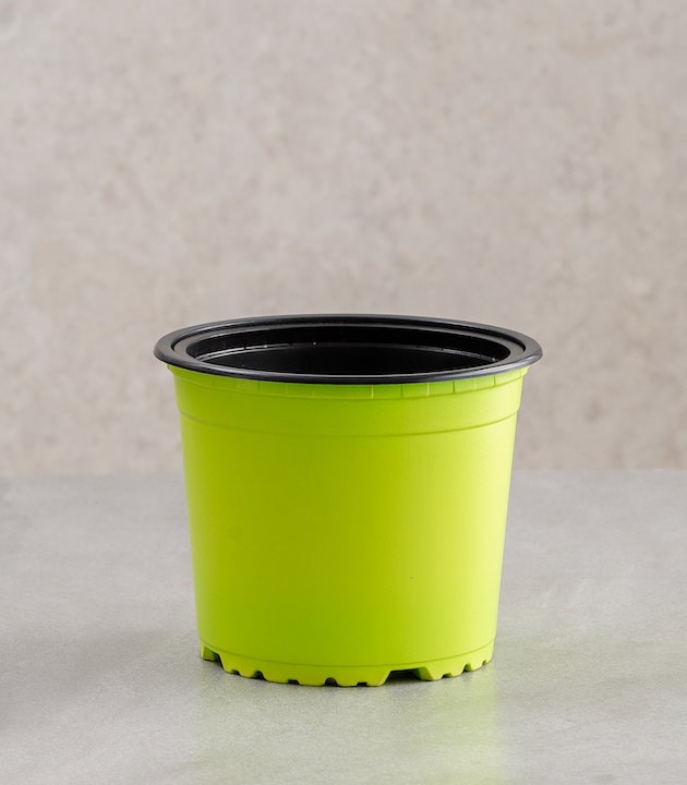 Vcg round recyclable plastic pots multiple colours sizes buy round premium pots online best pots planters light green horticult