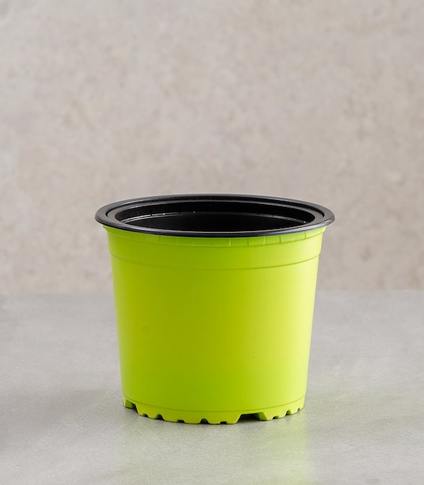 VCG Round Recyclable Plastic Pots (Multiple Colours and Sizes)