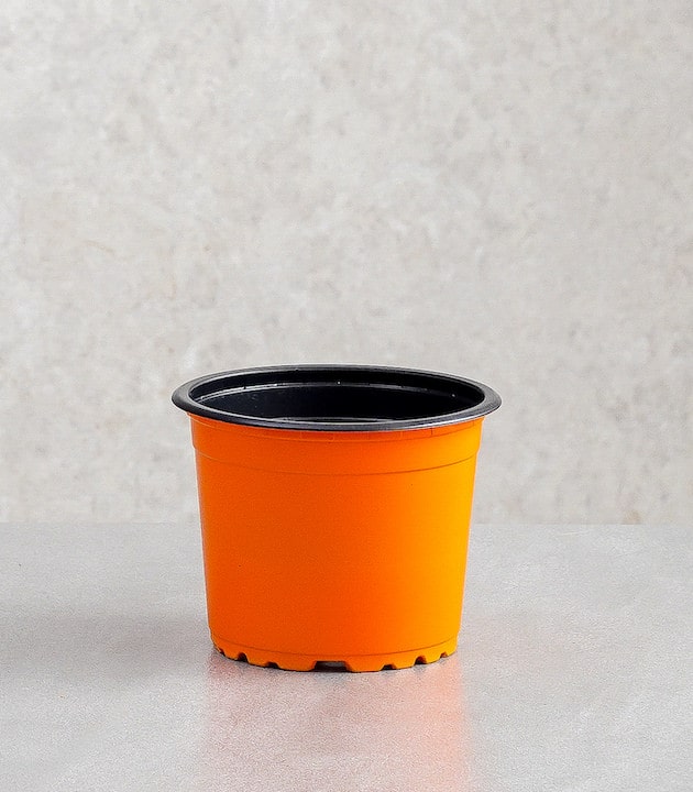 Vcg round recyclable plastic pots multiple colours sizes buy round premium pots online best pots planters orange horticult