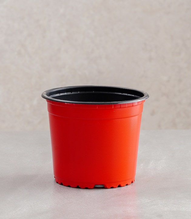 Vcg round recyclable plastic pots multiple colours sizes buy round premium pots online best pots planters red horticult
