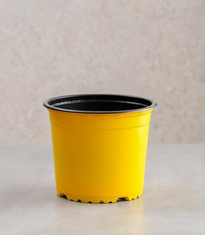 Vcg round recyclable plastic pots multiple colours sizes buy round premium pots online best pots planters yellow horticult