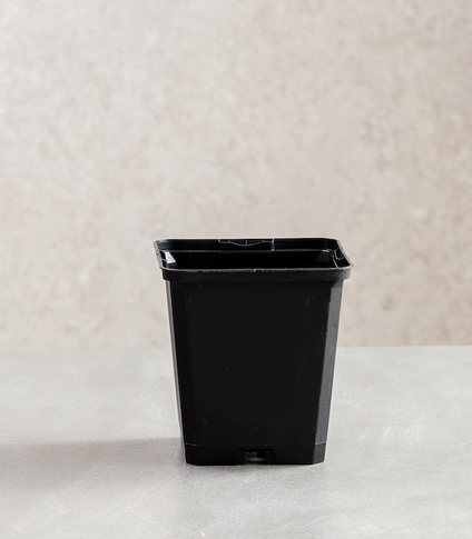Mqd square recyclable plastic pots buy pots online premium pots for plants horticult