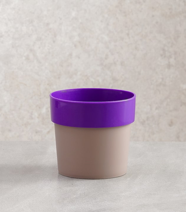Arty round plastic planters purple gray buy colourful pots online best pots for garden plants flowers horticult