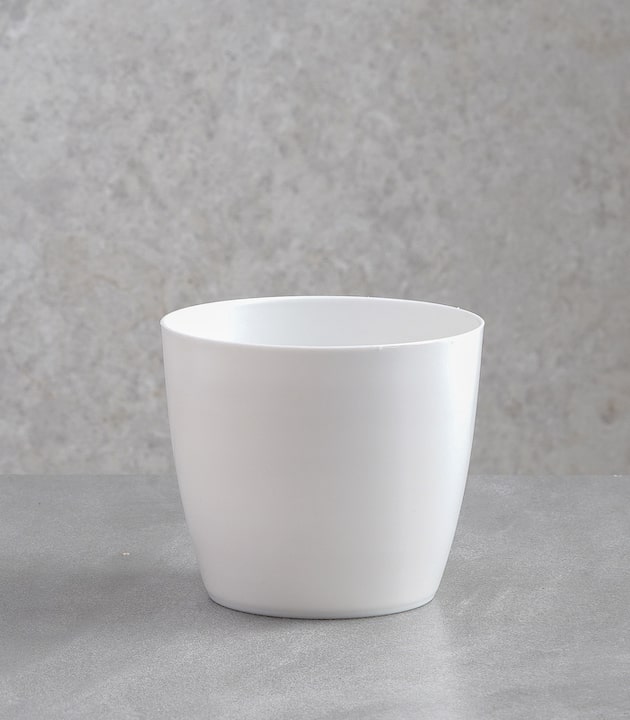White valencia round plastic planters black best pots online colourful decorative pots online horticult