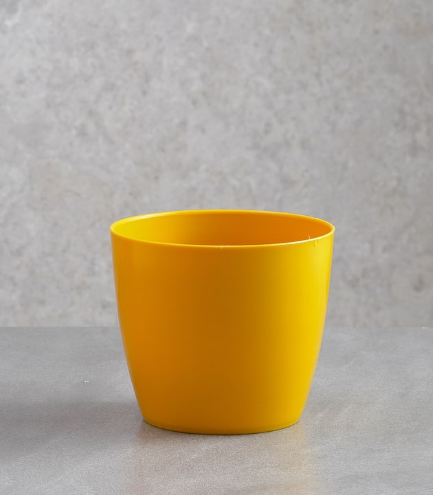 Yellow valencia round plastic planters black best pots online colourful decorative pots online horticult