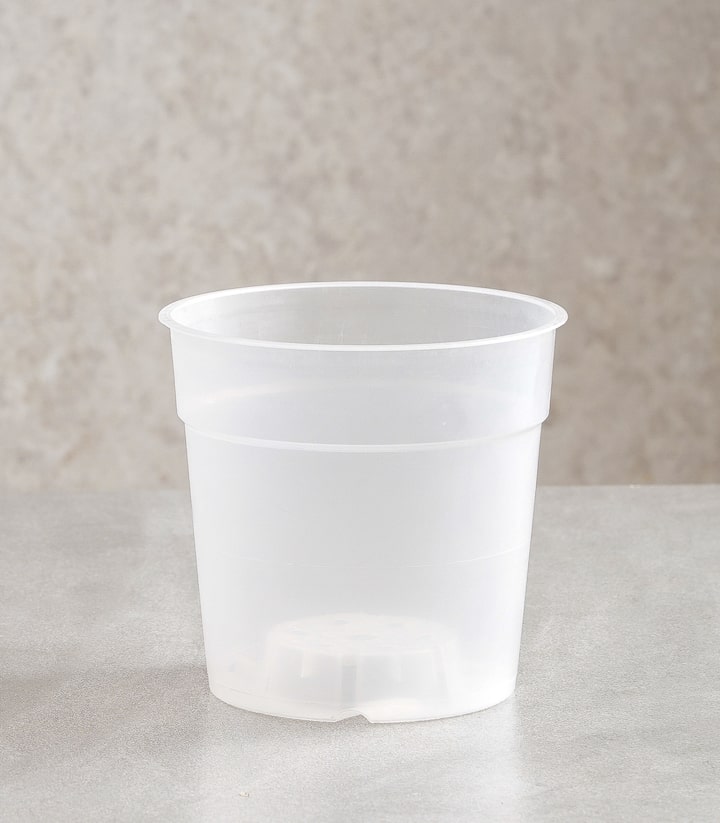Teku plant pot container is transparent to orchids mco 9 9cm 