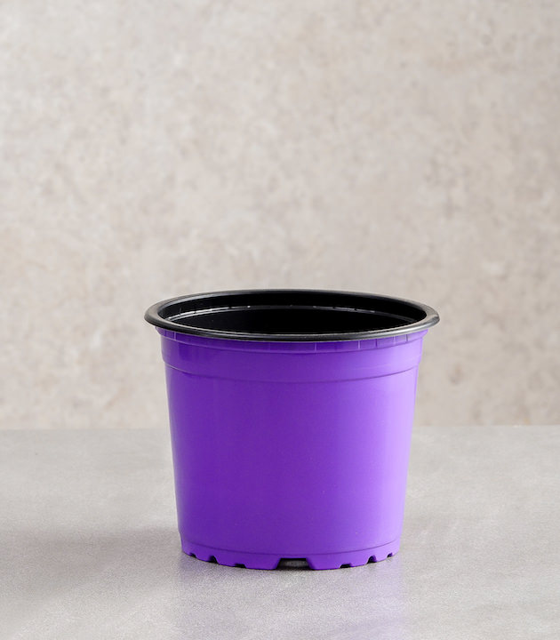 Vcg round recyclable plastic pots all colours lavender