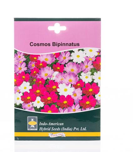 Cosmos bipinnatus vegetable seeds buy flower seeds online horticult