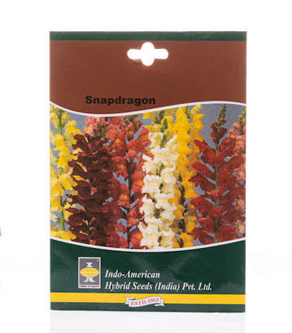 Snapdragon flower seeds online plant seeds gardening horticult