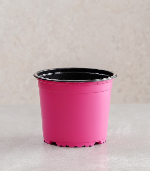 Vcg round recyclable plastic pots multiple colours sizes buy round premium pots online best pots planters pink horticult