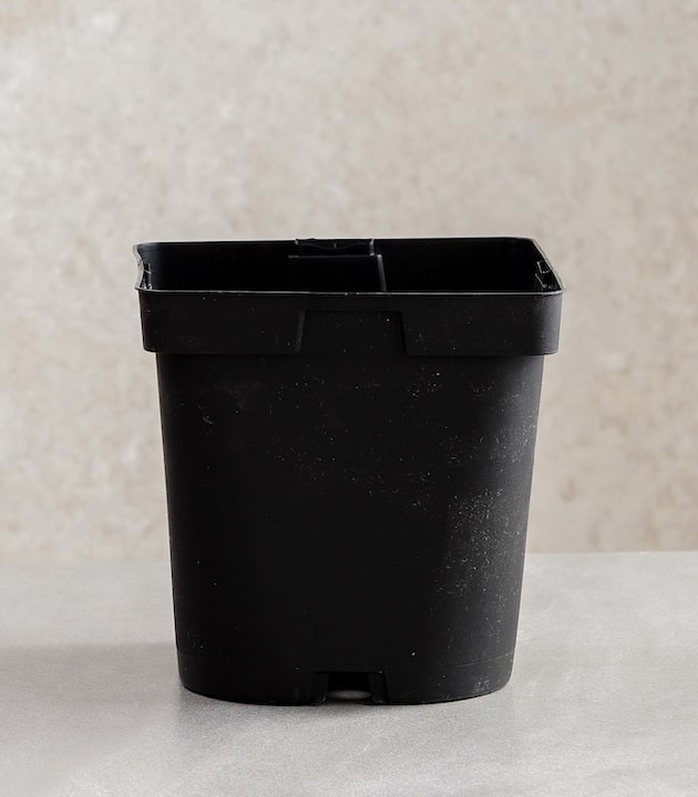 Mqe square recyclable plastic pots %28multiple sizes%29 buy premium pots online best pots online horticul