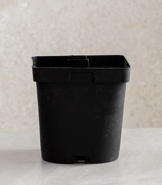 Pack of 3 MQE Square Recyclable Plastic Pots Premium Pots Online