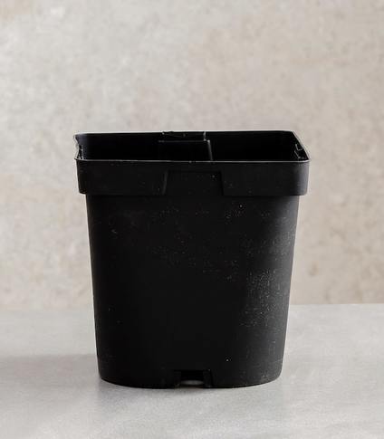 Pack of 3 - MQE Square Recyclable Plastic Pots (Multiple Sizes)