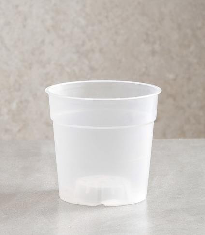 Mco 9 translucent orchid pots mco orchid pot   pot container online   plastic plant pots   horticult