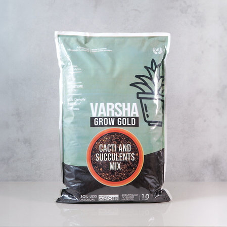 Varsha Grow Gold Cacti and Succulents Mix