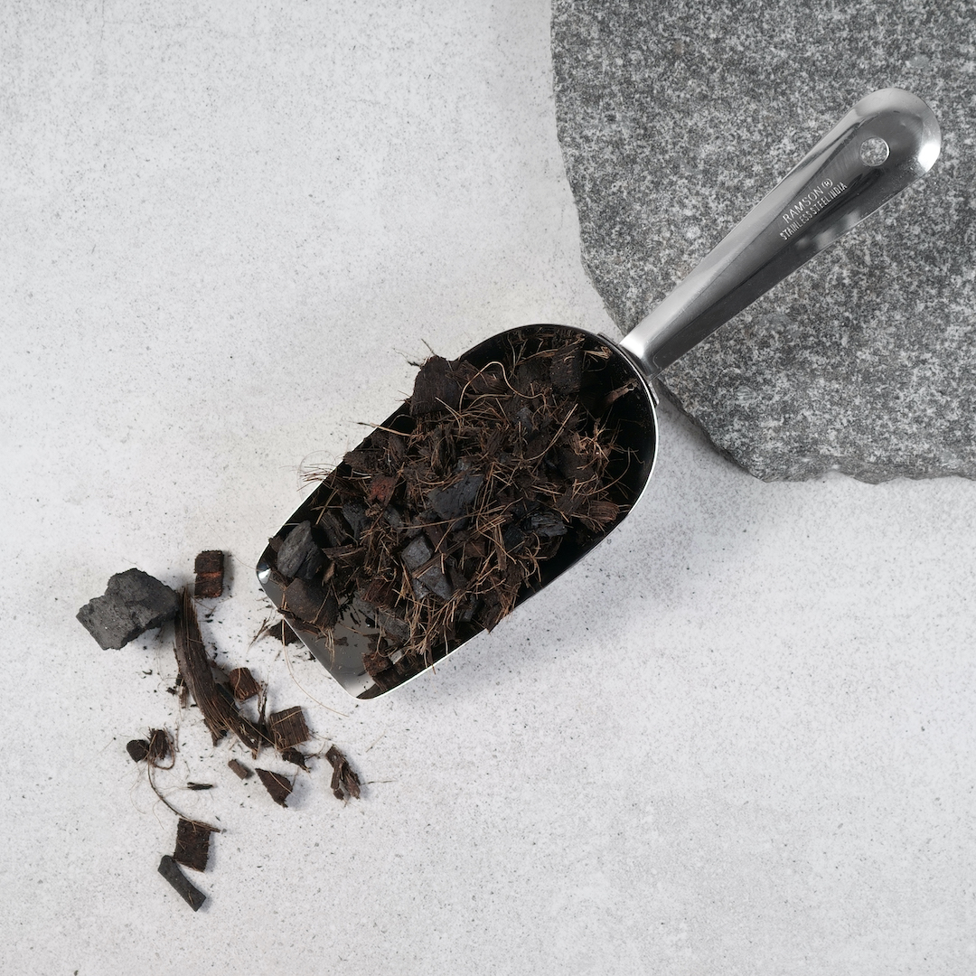 Varsha grow gold cacti succulents mix horticult 1